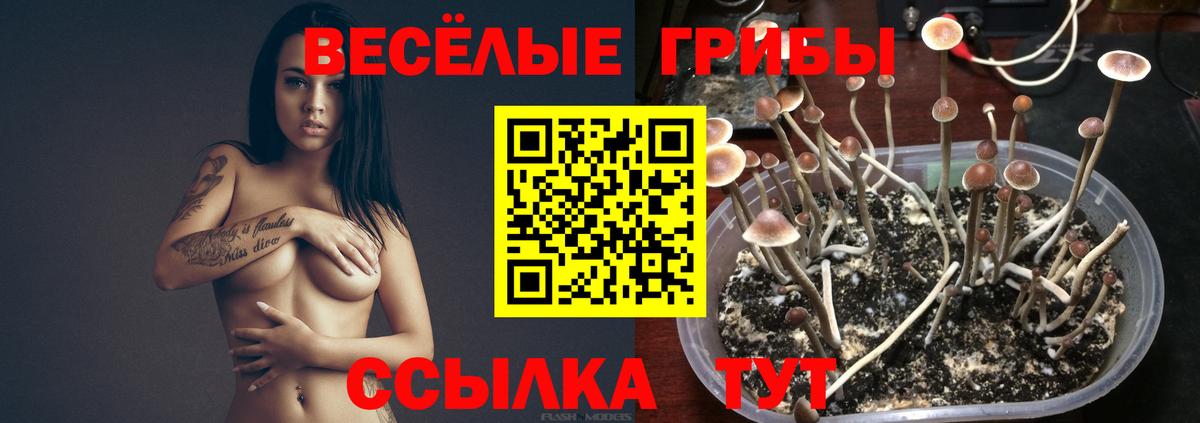 Псилоцибиновые грибы Magic Shrooms  Галлюциногенные грибы MAGIC MUSHROOMS  Вход с VPN  купить закладку  Электрогорск 